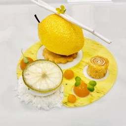 Ponthier Yuzu Puree