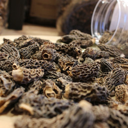 Dried Morel Mushrooms are known for their rarity and nutty and woody flavour.