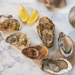 Maldon rock oysters