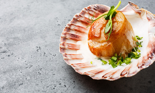 Canadian scallops