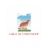 Caille De Chanteloup