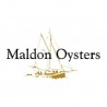 Maldon Oysters