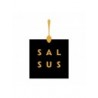 Salsus